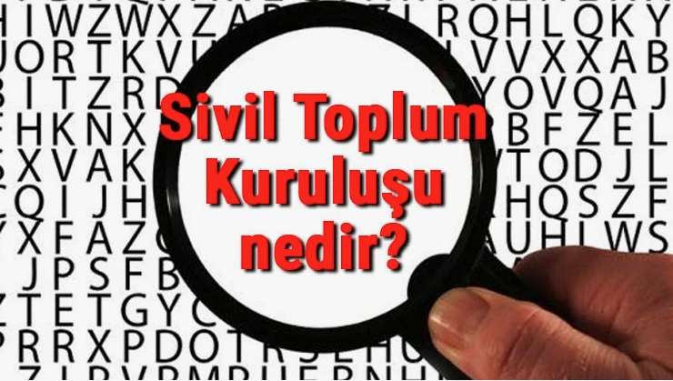 Sivil Toplum Kuruluşu