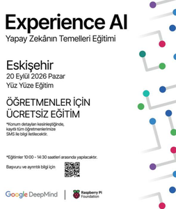 Experience AI Yapay Zekânın Temelleri